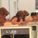 When schools become secondary to political agendas – Academia