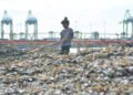 Three flaws, one solution: Ending child labor in Indonesia – Academia