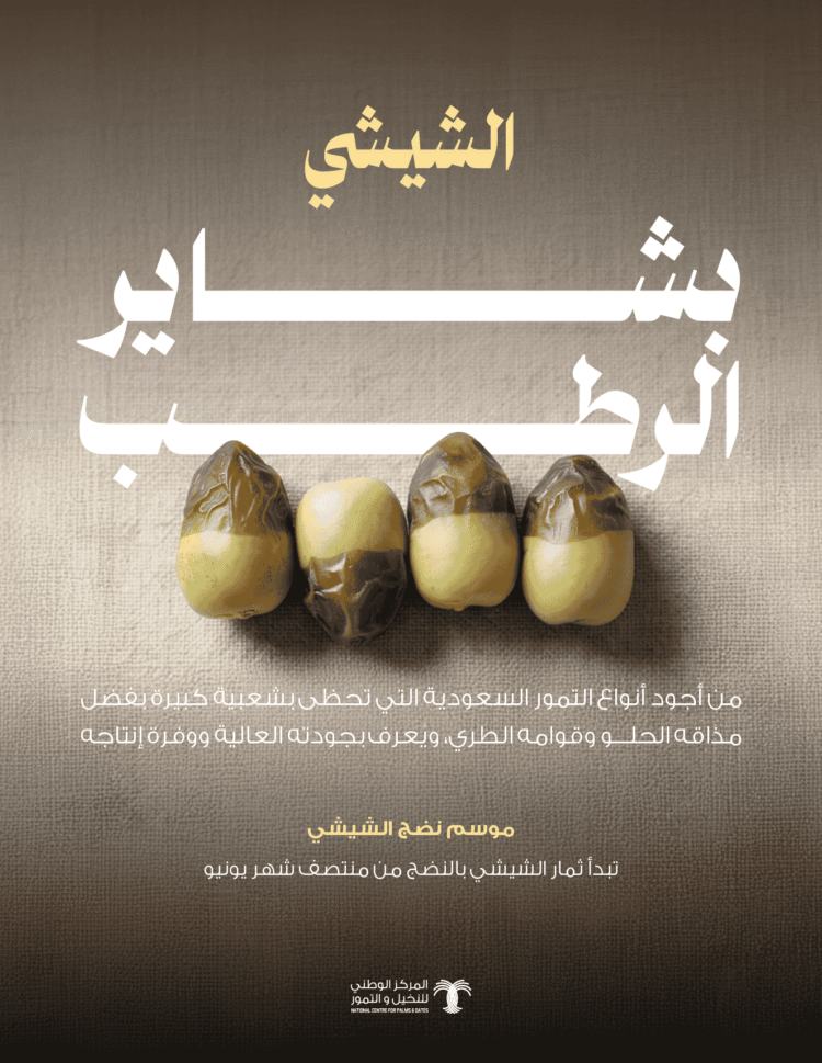 Al-Riyadh newspaper | There is a wide demand from consumers for shishi dates