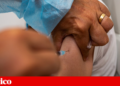 An injection stopped aggressive head cancers in more than a third of patients | Cancer