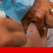 An injection stopped aggressive head cancers in more than a third of patients | Cancer