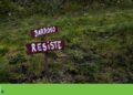 Lithium: court accepts precautionary measure and stops easement for Barroso mine | Boticas