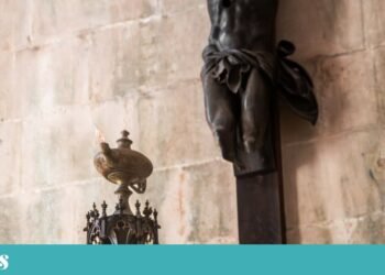 Portugal’s problem is an olive oil problem | Chronicle