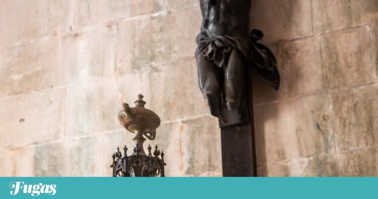 Portugal’s problem is an olive oil problem | Chronicle