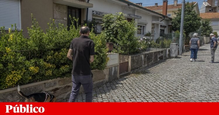 Couple bought the entire street and Câmara de Gaia will try to help residents who have to leave | Housing