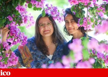 In Santa Clara, a group of residents (and beyond) decides what they want to do in the parish | Lisbon