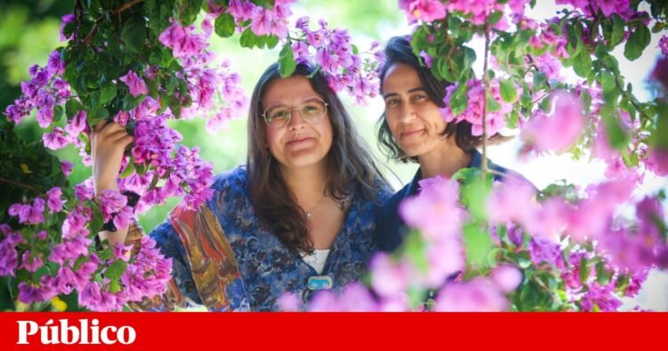 In Santa Clara, a group of residents (and beyond) decides what they want to do in the parish | Lisbon