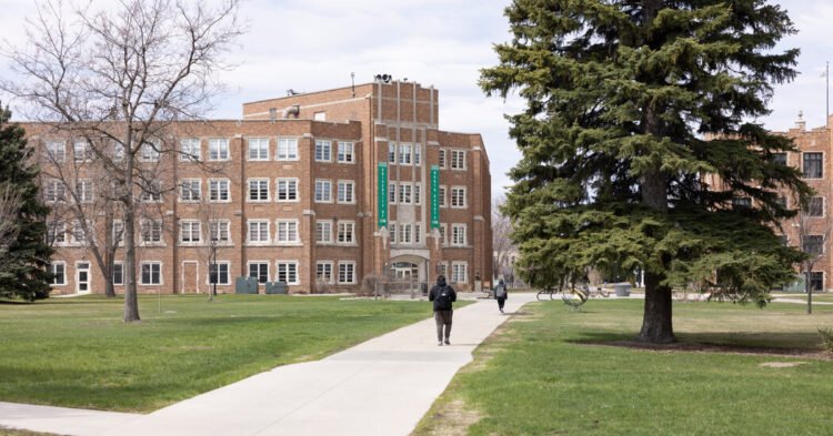 A.I. Degree Programs Surge as Colleges Seek Students and Relevance