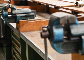 Apprenticeship market: “This shows how tough the competition is” – DiePresse.com