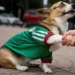 In Mexico, World Cup jerseys fit all shapes, sizes – and species