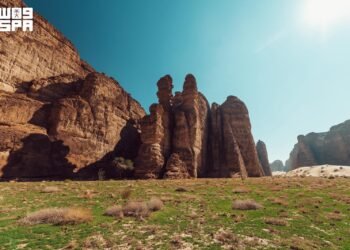 Al-Riyadh newspaper | AlUla sets a global model for restoring ecosystems and raising vegetation