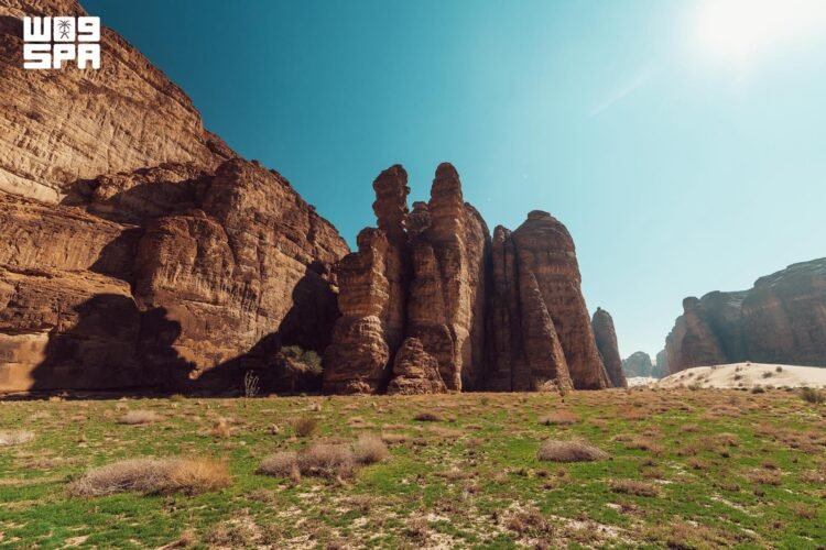 Al-Riyadh newspaper | AlUla sets a global model for restoring ecosystems and raising vegetation