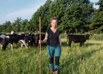 Dairy farmers who switch to organic are also unsure about the government’s ‘nitrogen package’