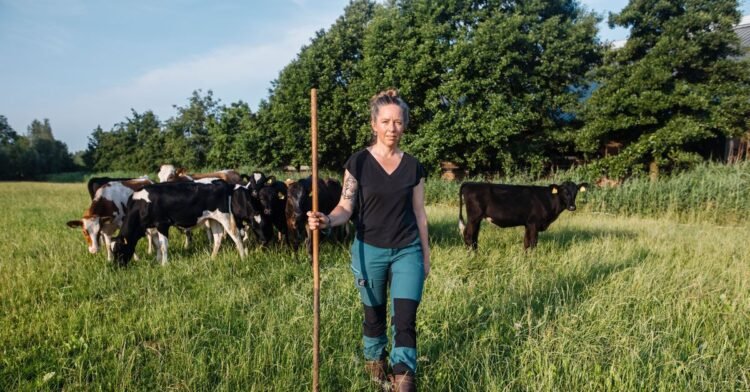 Dairy farmers who switch to organic are also unsure about the government’s ‘nitrogen package’
