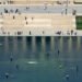 Trump on the Shabby Condition of the Reflecting Pool: Not My Fault