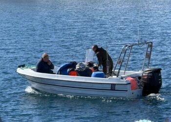 Fishermen in Upernavik and Uummannaq want to start rockfish fishing