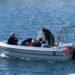 Fishermen in Upernavik and Uummannaq want to start rockfish fishing