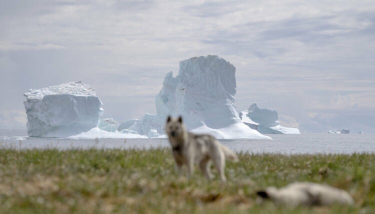 Drifting icebergs pose an increasing risk to ships around Greenland
