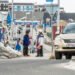 Foreign labor or total collapse?