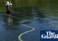 Reflecting pool was cut with ‘sharp knife or razor’, National Park Service says | Washington DC