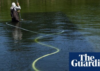 Reflecting pool was cut with ‘sharp knife or razor’, National Park Service says | Washington DC