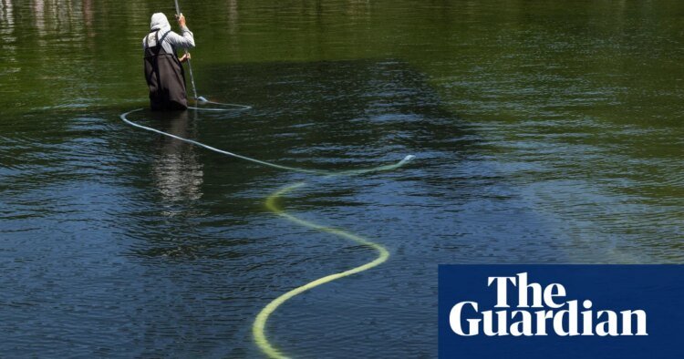 Reflecting pool was cut with ‘sharp knife or razor’, National Park Service says | Washington DC