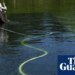 Reflecting pool was cut with ‘sharp knife or razor’, National Park Service says | Washington DC