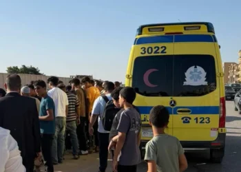 Reckless driving ends in disaster…a woman was killed by a minor in Hadayek Al-Ahram – Saudi News