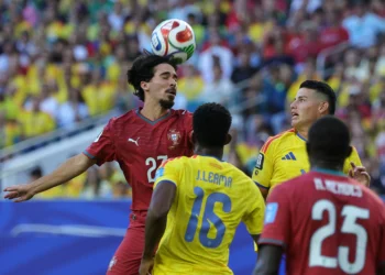 100% accuracy of his passes.. “Vitinha” is Portugal’s pace setter – Saudi News