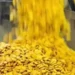 The “yellow pulp” hoax.. How did “evening entertainment” turn into poisons that destroy Egyptians? – Saudi Arabia News