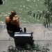 Three quarters of employees remain available while on vacation – DiePresse.com