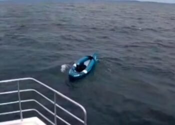 00:40EnglandIn the middle of the sea: German Shepherd alone on the kayak1620