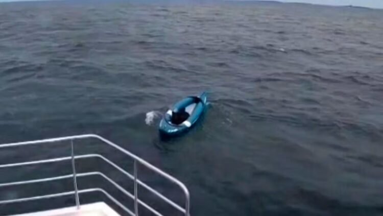00:40EnglandIn the middle of the sea: German Shepherd alone on the kayak1620