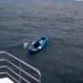 00:40EnglandIn the middle of the sea: German Shepherd alone on the kayak1620