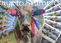 Six stamps, two countries, one rarity