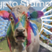 Six stamps, two countries, one rarity