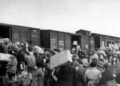 Notes thrown from the train show: some deportees knew they were heading to their death