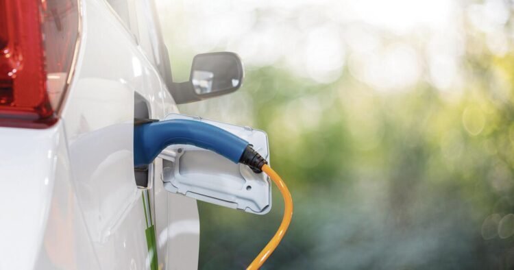 “The fundamental trend towards electrification remains”