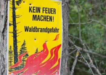 Great risk of forest fires: Fire ban in forests and near forests