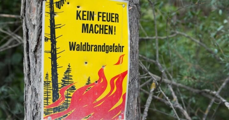 Great risk of forest fires: Fire ban in forests and near forests