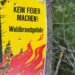 Great risk of forest fires: Fire ban in forests and near forests