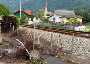 Hedge fire on the railway track in Schaan