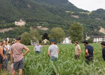 Local farmers invited people to take a tour of the fields