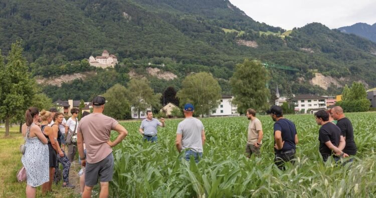 Local farmers invited people to take a tour of the fields