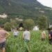 Local farmers invited people to take a tour of the fields