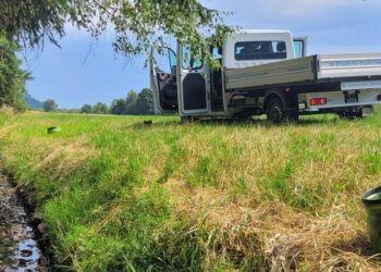 Hundreds of animals saved from death: emergency fishing in the ash tree