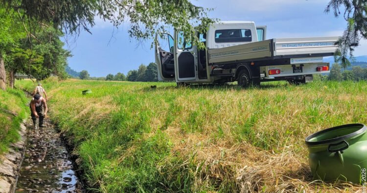 Hundreds of animals saved from death: emergency fishing in the ash tree