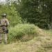 Estonia sends police unit to Latvia–Belarus border | News