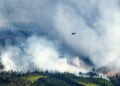 Three Firefighters Die as Wildfires Ravage Utah and Colorado