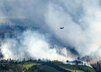 Three Firefighters Die as Wildfires Ravage Utah and Colorado